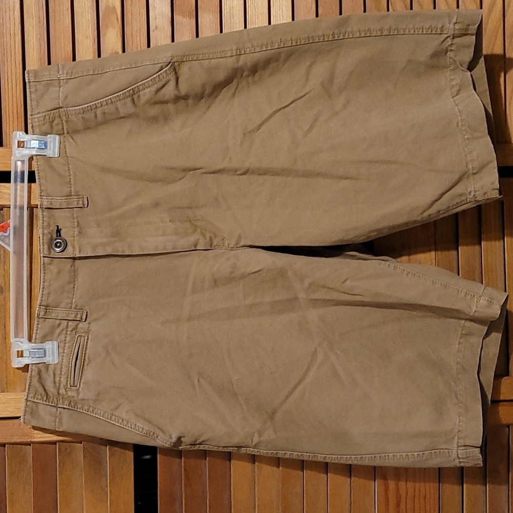 American Eagle Longboard Shorts size 34